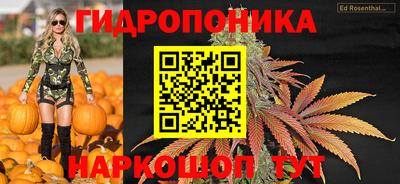 ешки Сланцы