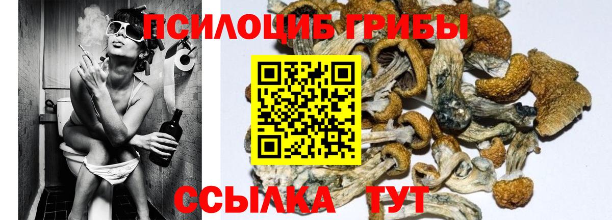 Новочебоксарск  Галлюциногенные грибы GOLDEN TEACHER  Вход с VPN 